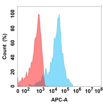 CDH3 Antibody