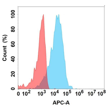 FGF19 Antibody