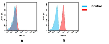 Anti-BTN3A2 antibody(3G2); IgG1 Chimeric mAb