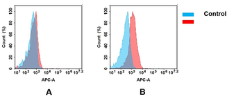 Anti-BTN3A2 antibody(3G2); IgG1 Chimeric mAb