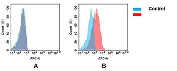 Anti-CD79B antibody(52A11); IgG1 Chimeric mAb