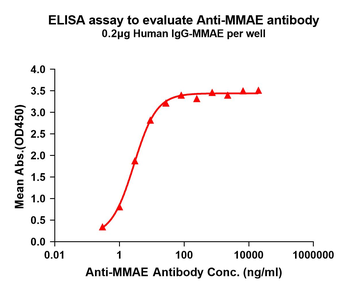 MMAE Antibody