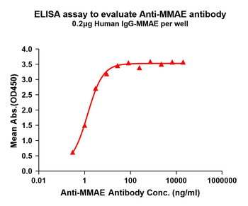 MMAE Antibody