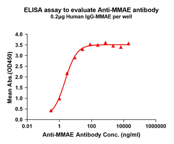 MMAE Antibody