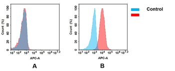 Anti-GPC1 antibody(1B8); IgG1 Chimeric mAb
