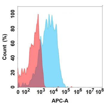 ALPP Antibody