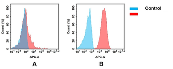 Anti-CD166 antibody(DMC682), IgG1 Chimeric mAb