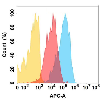 CXCR4 Antibody