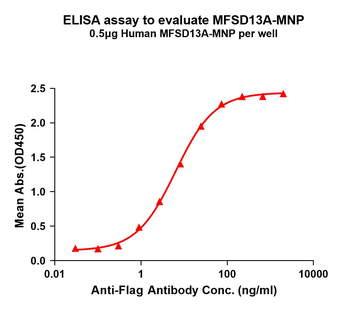 Human MFSD13A full length protein-MNP