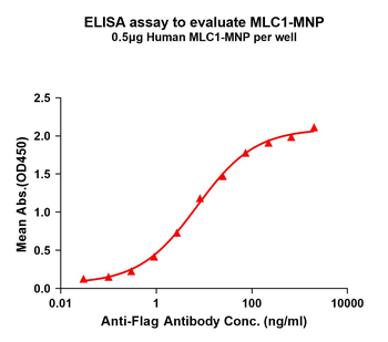 Human MLC1 full length protein-MNP