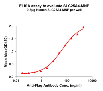 Human SLC25A4 full length protein-MNP