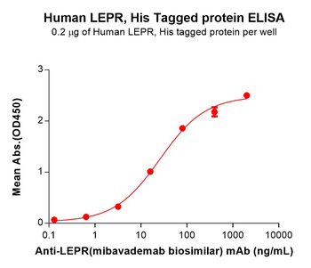 Human AKT1(409-480) Protein, hFc Tag