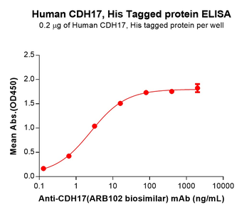 Human KI67(1206-1238) Protein, hFc Tag