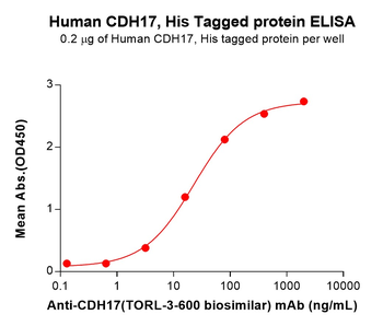 Human KI67(1206-1238) Protein, hFc Tag