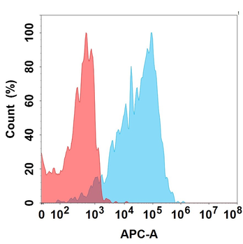 Anti-EGFR(depatuxizumab biosimilar) mAb