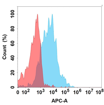 IL1RL2 Biosimilar Antibody