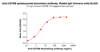 Anti-CD79B (polatuzumab biosimilar) antibody, Rabbit IgG Chimeric mAb