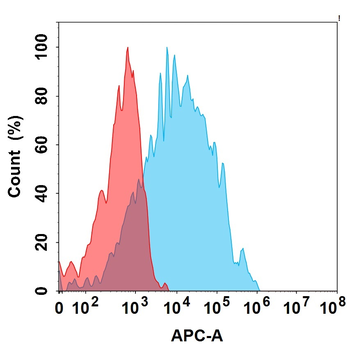 Anti-FGFR3(vofatamab biosimilar) mAb