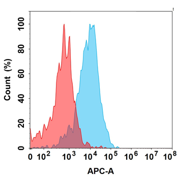Anti-LY6E(RG7841 biosimilar) mAb