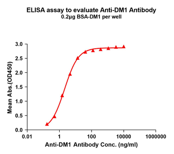 DM1 Antibody
