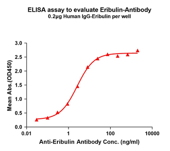Eribulin Antibody