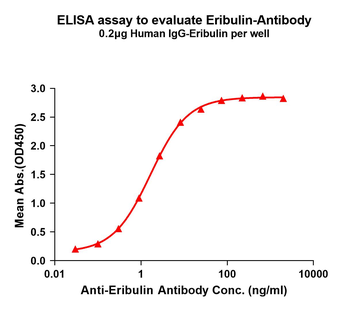 Eribulin Antibody