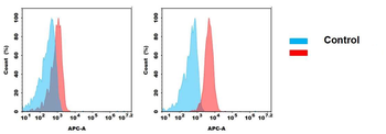 Anti-MICA antibody(7F12), IgG1 Chimeric mAb