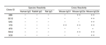 Mouse IgG Antibody
