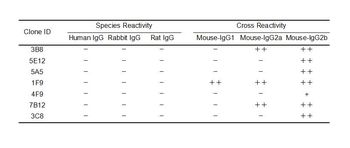 Mouse IgG Antibody