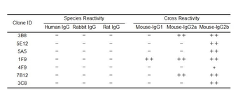 Mouse IgG Antibody