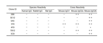 Mouse IgG Antibody