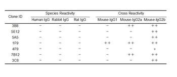 Mouse IgG Antibody