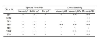 Mouse IgG Antibody
