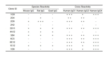 Human IgG Antibody