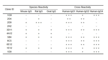 Human IgG Antibody