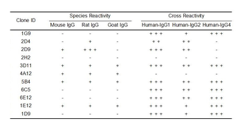 Human IgG Antibody
