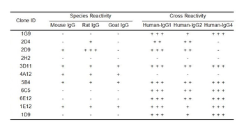 Human IgG Antibody