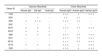 Human IgG Antibody