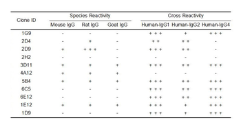 Human IgG Antibody