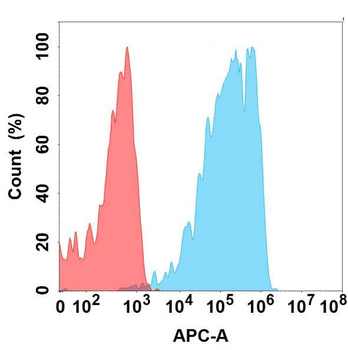 ANPEP Antibody