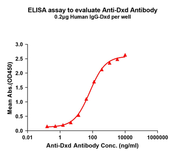 Dxd Antibody