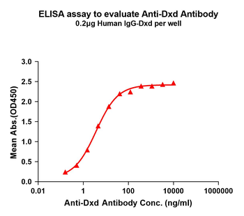 Dxd Antibody