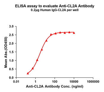 CL2A Antibody