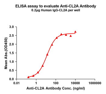 CL2A Antibody