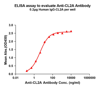 CL2A Antibody