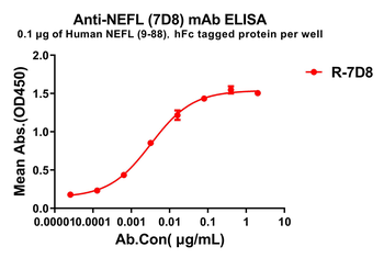 NEFL Antibody