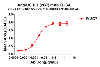 UCHL1 Antibody