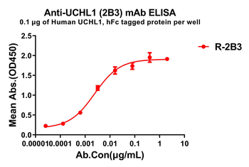 UCHL1 Antibody
