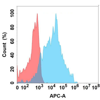 CD147 Antibody