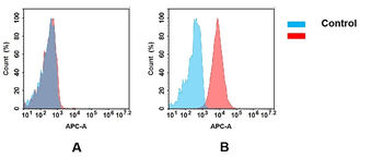 Anti-CD93 antibody(5B10), IgG1 Chimeric mAb